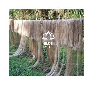 PRODUIT PHARE : Fibre de banane brute Blue Lotus Farm, sûre, propre et écologique, 2026, matériau végétal pur pour le tissage textile et la fabrication artisanale - Product Image 1