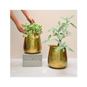 Macetero artístico alto de metal dorado para presentaciones de vegetación vibrante - Product Image 5