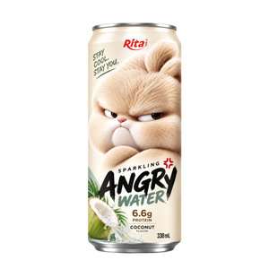 Rita Bebida de Agua de Mango con Gas en Lata de 330ml, Bebida Carbonatada, Proveedor Mayorista de Bebidas, Fábrica OEM ODM, Marca Privada - Product Image 3