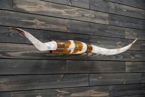 เขาวัวตัวเล็กเขาวัววัววัววัวแบบยาวฮอร์นขัดเงาสำหรับตกแต่งผนังศิลปะตะวันตก/แตรคู่โดย fwe - Product Image 5