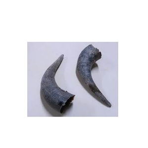 Jouet à mâcher pour animaux de compagnie en corne de buffle d'eau, écologique, pour chiens, chats et autres animaux - Product Image 1
