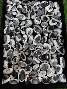 Ópalo Dendrítico Natural, Mezcla de Formas, Ópalo Negro y Blanco, Piedra Suelta para Joyería, Lote al por Mayor, 15-40mm, 3-10g - Product Image 1