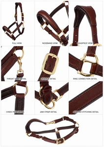 Cabestro de Cuero Hecho a Mano para Caballo con Corona y Correa Nasal Ajustables de Divine International - Product Image 3