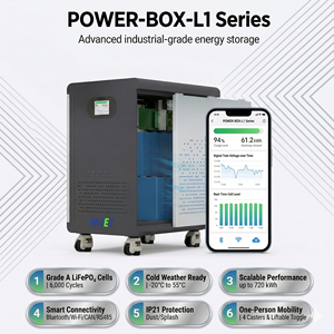 Système de stockage d'énergie domestique hybride 48 <span class=keywords><strong>kWh</strong></span> pour une économie d'électricité sur le réseau et une réserve d'énergie stable à long terme - Product Image 1