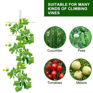 Lot de 4 treillis de jardinage creux en profil T de 2,1 m, robustes et durables, pour la décoration de jardins modernes et la culture des plantes grimpantes - Product Image 3