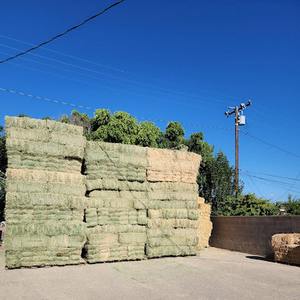 Heno Seco 100% Natural de Pasto Rhodes Clean Farm, Alimento para Rumiantes, Alto en Fibra, Pacas a Granel, Alimento para Perros y Peces, Suministro al por Mayor e Importación - Product Image 2
