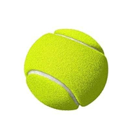 Ballon de cricket et de tennis en gros, best-seller, bon prix, haute qualité, ballon de tennis professionnel pour l'entraînement et les matchs