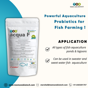 Culture probiotique pour l'élevage de poissons en biofloc, complément premium pour étangs à poissons - Product Image 4