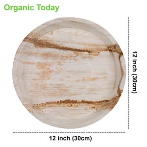 Assiette en feuille de palmier Areca de 12 pouces Organic Today, 100% naturelle, écologique, jetable, vaisselle de fête, passe au micro-ondes, passe au congélateur - Product Image 3