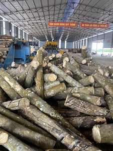 Placage en bois de caoutchouc du Vietnam 100 % naturel, coupé rotativement, écologique, pour la fabrication de contreplaqué - Product Image 5