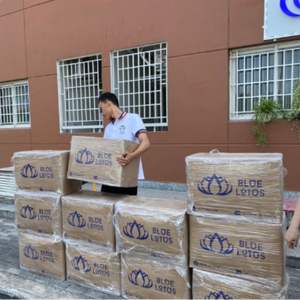 EN STOCK: Abanico de Seagrass 2026, Abanico Artesanal de Alta Calidad para Refrescarse y Decoración de Bodas, Regalo para Fiestas - Product Image 6