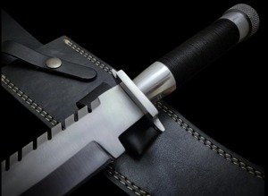 Arwin Enterprises Handmade <b>Clip</b> Point Bowie Knife D2 Steel Flat Edge Blade 3mm Thickness 15 Inch Horn Handle Leather Sheath - Product Image 5