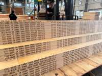 Wholesale Pine Boards for Sale Construction Building Material LVL Plywood Timber Scaffolding Board/Plank