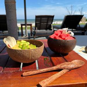 Juego de tazones de coco natural de 13-14 cm y 16 cm, cuchara de madera de coco/artículos de cocina ecológicos hechos a mano, venta al por mayor de fábrica - Product Image 4