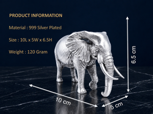 Sculpture d'éléphant en laiton plaqué argent 999, moulée en 3D, par Jaipur Metals |   10x5x6,5 cm |   120g |   Décoration d'intérieur et cadeaux - Product Image 2