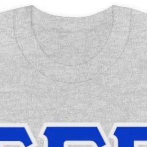 Sudadera de cuello redondo con letras de dos tonos Sigma Gamma Rho, jersey personalizado de hermandad griega, forro polar, estilo casual universitario, venta al por mayor - Product Image 3