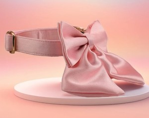 Eco-Friendly 100% Cotton <b>Dog</b> <b>Leash</b> with Animal Pattern Modern Bowknot Design & Comfort Grip for <b>Dogs</b> - Product Image 1