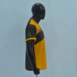 Camiseta de Manga Corta con Cuello Redondo para Hombre Centaur, Amarillo y Negro, Corte Regular, Transpirable, Estilo Deportivo Informal, con Logotipo Estampado - Product Image 2