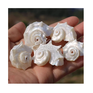 เปลือกหอยสแกลลอปหลากสีธรรมชาติ งานฝีมือทำมือ ของตกแต่ง DIY เครื่องประดับ ของตกแต่งชายหาดสไตล์โคสตัล - Product Image 2
