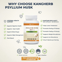Capsules de Psyllium, Poudre de Psyllium pour la régularité digestive, soulagement de la constipation, fibres végétales naturelles