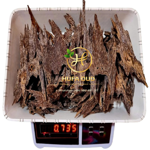 Copeaux de bois d'agarwood Oud sélectionnés collectivement au cœur de l'arbre, résistants aux dommages et offrant un arôme exceptionnel - Product Image 3