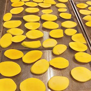 REBANADAS DE MANGO SUAVES SECAS AL POR MAYOR FABRICANTE DE VIETNAM PROVEEDOR DE Aperitivos DE FRUTAS DE ALTA CALIDAD - Product Image 5