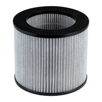 Filtre HEPA à charbon actif personnalisé Lansir pour purificateur d'air Bissells 2780 2780A 27809