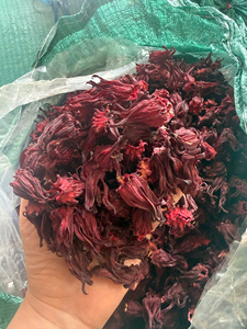 เวียดนามผลิตดอกชบาแห้งธรรมชาติ ดอกโรสแมลโลว์สีแดง ชาสมุนไพร ใช้ตกแต่ง ดอกชบาแห้งทั้งดอก - Product Image 5