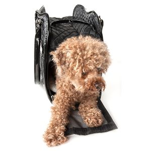 Elegante Borsa Trasportino per Animali Domestici: Soluzione Mobile alla Moda per il Tuo Amico Peloso - Product Image 2
