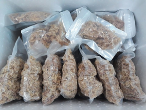 Musgo Marino Crudo Dorado Seco al Sol de Origen Vietnamita, Algas Eucheuma Cottonii Secas de Grado Premium a Granel para Ingredientes Alimentarios al por Mayor - Product Image 5