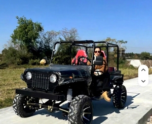 Carrito Jeep Donwin, Fabricación China, 200cc 300cc, Color Personalizado, Gasolina, Cuatro Ruedas, Frenos de Disco Hidráulicos, Neumáticos de Goma Sólida - Product Image 2