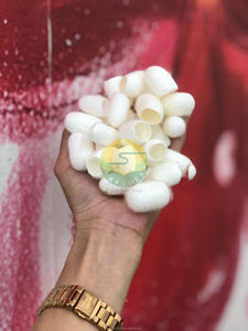 Capullo de Seda Orgánico Biodegradable con Colágeno para el Cuidado Facial - Ecológico, Corte 1/3 - Product Image 5