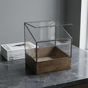 Terrarium Carré Moderne en Laiton/Verre avec Base en Bois, Design Artisanal, Décoration Intérieure pour Salon, Toutes Saisons - Product Image 4