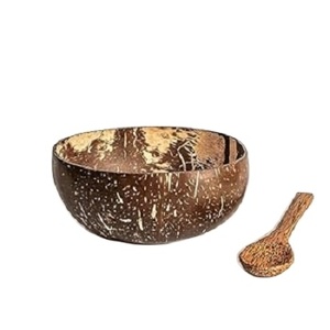 Unique Artisanat Gravé Cocunut Bols En Gros Coquille De Noix De Coco Gravé Bol Avec Logo De Haute Qualité - Product Image 4