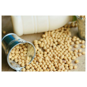 Soja jaune de qualité supérieure, non-OGM, de qualité alimentaire, fabriqué sur mesure, vente en gros, très demandé, excellent rapport qualité-prix - Product Image 2