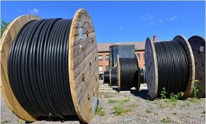 Câble industriel à conducteurs en cuivre toronnés, isolé en PVC 600V, avec gaine blindée - Product Image 2