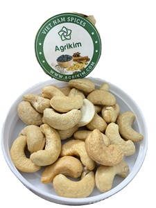 Khỏe Mạnh Snack Hạt Điều Nhà Máy Trực Tiếp Xuất Khẩu Từ Việt Nam Nhanh Chóng Vận Chuyển Cho Thị Trường Toàn Cầu Cây Trồng Mới Cao Cấp - Product Image 4