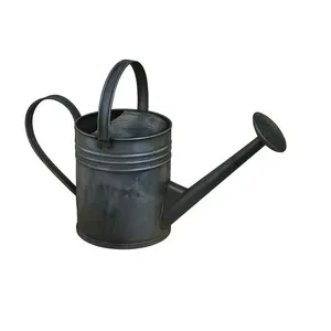 Arrosoir en métal imprimé émaillé artistique pour embellir l'esthétique du jardin et favoriser la croissance saine des plantes en intérieur et en extérieur - Product Image 3