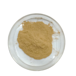 Suplemento de hierbas en polvo de extracto de Bladderwrack de alta calidad seguro para adultos y mujeres embarazadas ODM OEM - Product Image 1