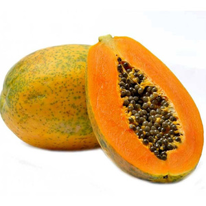 Papaya Roja Fresca, Directo de Granja, Precio Económico en Venta - Product Image 5
