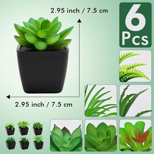 Set di 6 Piccole Piante Succulente Artificiali Realistiche in Vasi Neri per Decorazione Ufficio, Scrivania, Camera da Letto, Piante Finte per Decorazioni Casa - Product Image 3