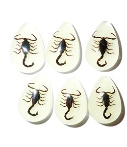 Cabochon Black Scorpion Pear Shape Cut <b>Top</b> 25x17 mm Glow Flat Bottom for Crafts and Jewelry Making - Product Image 4