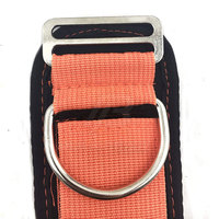 Sangle de cheville en néoprène premium pour femmes et hommes - Légère, respirante et réglable pour la musculation et l'entraînement des jambes