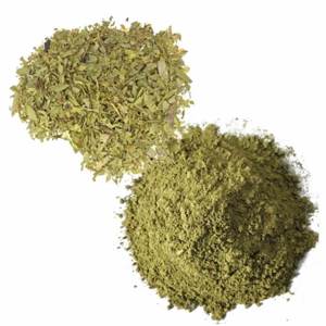 Polvo de Senna Natural a Base de Plantas, Grado Alimenticio, Proveedor a Granel, Apto para la Fabricación de Suplementos Herbales - Product Image 2