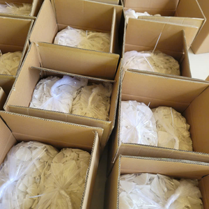 Carne de Coco Congelada IQF de Vietnam para Alimentos, Ideal para Freír Rápidamente y Crear Aperitivos Sabrosos por 99 Gold Data - Product Image 4