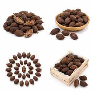 Fabricante de Vietnam Ofrece Gran Venta de Cardamomo Negro Delicioso de Primera Calidad, Estándar Internacional, Suministro a Granel - Product Image 4