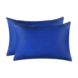 Coussins décoratifs et d'appoint multi-tailles pour canapé d'hôtel, en velours de plumes de luxe, personnalisables, couleur unie, lavables - Product Image 1