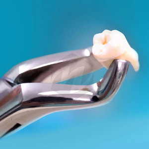 Juego de 3 Pinzas de Extracción Dental de Acero Inoxidable de Alta Resistencia # 150 # 151 # Instrumentos Quirúrgicos para Molares Inferiores con Punta de Cuerno de Vaca MOL - Product Image 2