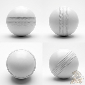 ชุดอุปกรณ์ฝึกซ้อมตีและขว้างลูกคริกเก็ตแบบสไลเดอร์ระดับพรีเมียม - Product Image 6