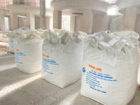 Chaux vive en vrac de haute qualité du Groupe Nam Thang, 90 % de CaO, sac de 25 kg, origine Vietnam, pour le traitement des eaux usées